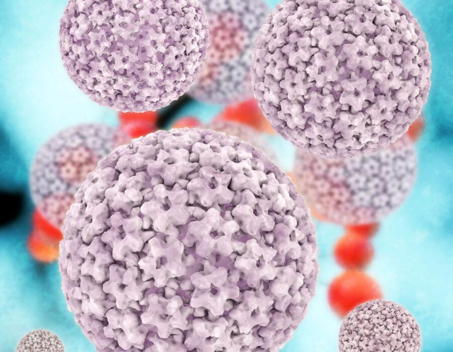 HPV-st põhjustatud haigused